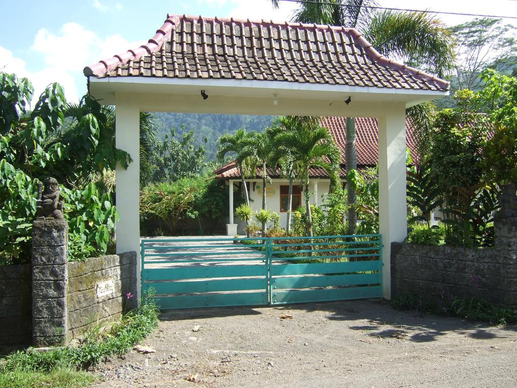 Guesthouse Rumah Senang Kalibaru Bagian luar foto