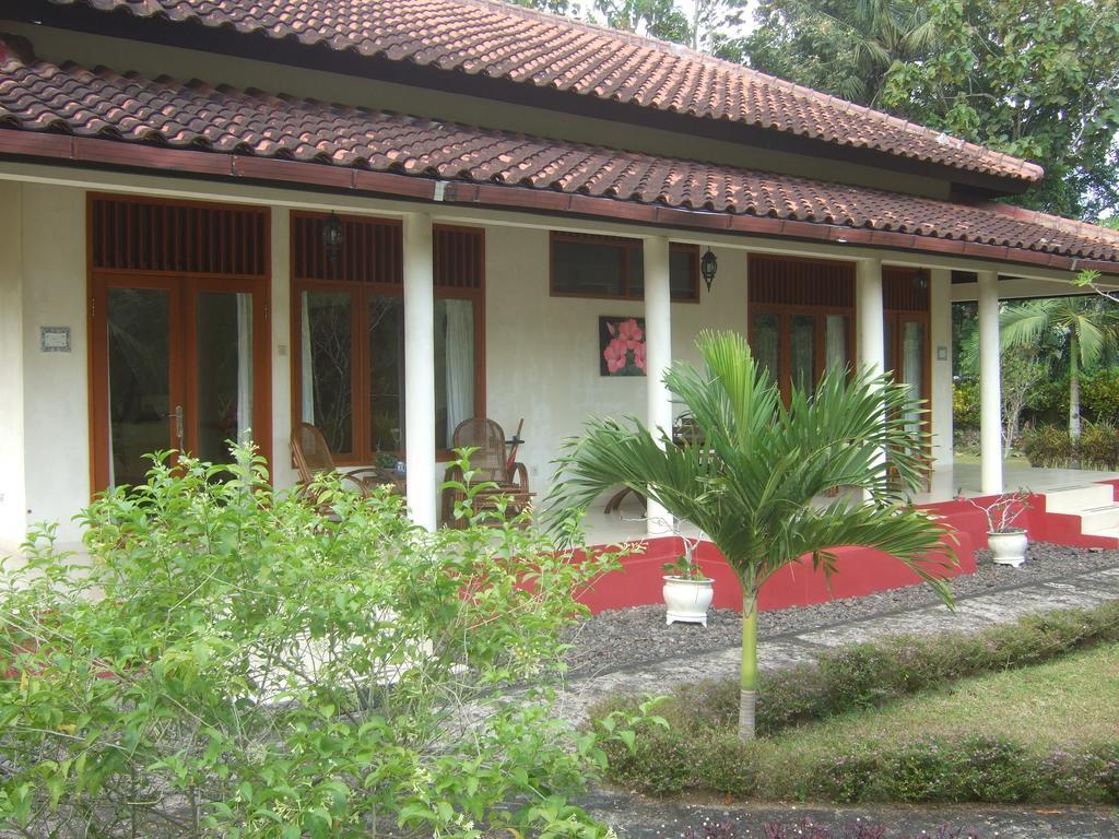 Guesthouse Rumah Senang Kalibaru Bagian luar foto