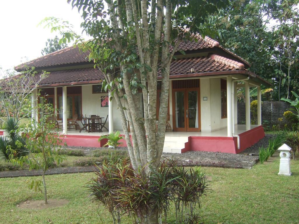 Guesthouse Rumah Senang Kalibaru Bagian luar foto