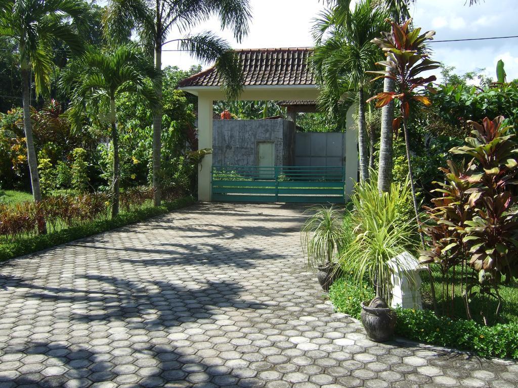 Guesthouse Rumah Senang Kalibaru Bagian luar foto